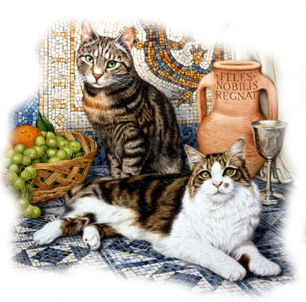 Gatto 10